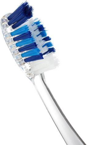 brush